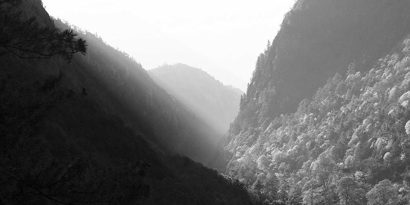 厦门八市海鲜采购全攻略：本地人教你识货、砍价与避坑，吃出地道厦门味