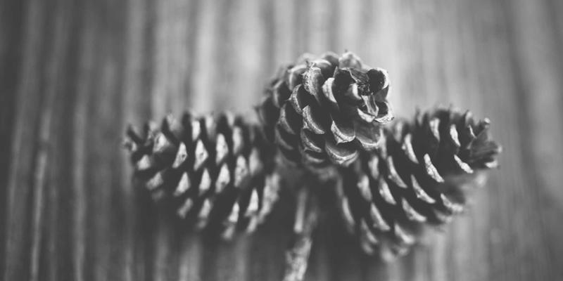 厦门同安影视城深度游：穿越明清宫廷，揭秘《琅琊榜》《甄嬛传》等热剧背后的取景故事