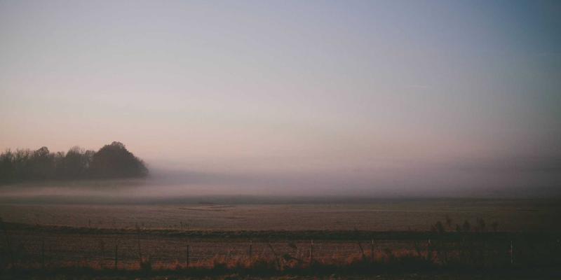 厦门山海健康步道林海线徒步全攻略：从东坪山到环岛路，一站式解锁城市森林与绝美海岸线