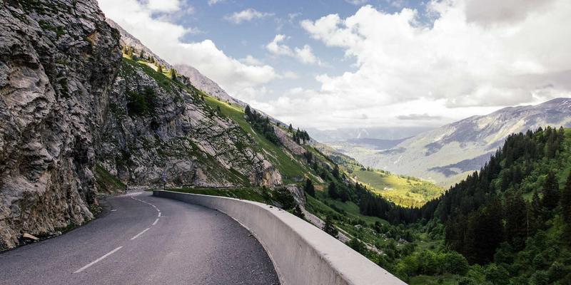 厦门植物园多肉植物区全攻略：探秘城市中的沙漠奇观与生态课堂