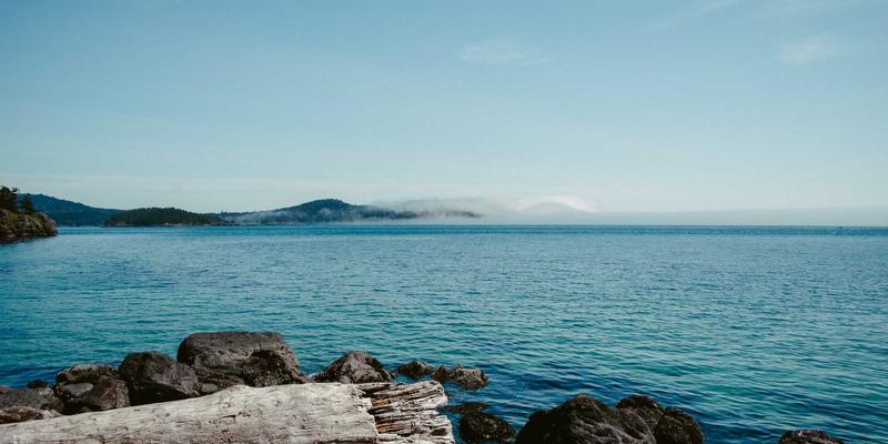 厦门集美园博苑深度游：一园看尽中华园林艺术，揭秘杏林湾生态治理智慧