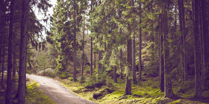 当北欧极简遇见闽南红砖:探秘厦门翔安澳头渔港艺术小镇的跨界新生